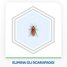 Carica l'immagine nel visualizzatore di Gallery, Raid Esca Scarafaggi - 6 Pezzi