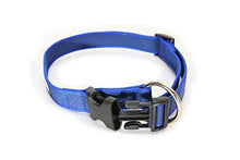 Carica l'immagine nel visualizzatore di Gallery, Collare K9 serie Color &amp; Gray, 25 mm x 39-65 cm, blu-grigio - Ilgrandebazar