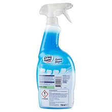 Carica l'immagine nel visualizzatore di Gallery, Lysoform Spray per il bagno - 750 ml - Ilgrandebazar