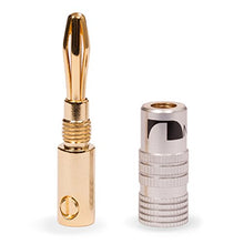 Carica l'immagine nel visualizzatore di Gallery, 8x High End Nakamichi Bananenstecker 8 Stück,