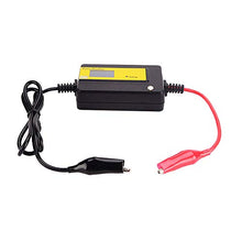 Carica l'immagine nel visualizzatore di Gallery, cleanpower Auto Pulsing 400Ah LED Display Piombo Acido Batteria Desolfatore... - Ilgrandebazar