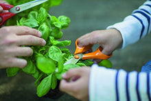 Carica l'immagine nel visualizzatore di Gallery, Fiskars Forbici multiuso, Lunghezza: 21 cm, Lama in acciaio inox/Impugnature... - Ilgrandebazar