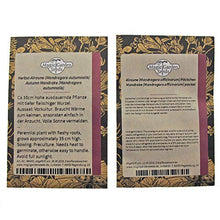 Carica l'immagine nel visualizzatore di Gallery, Magic Garden Seeds varietà di Mandragora - Set Regalo Semi con Mandragora... - Ilgrandebazar