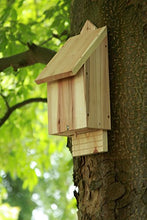 Carica l'immagine nel visualizzatore di Gallery, Wildlife World CBB Casella per i Pipistrelli