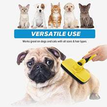 Carica l'immagine nel visualizzatore di Gallery, Avont Spazzola Autopulente per Cani Gatti Conigli, Toelettatura Pennello per...
