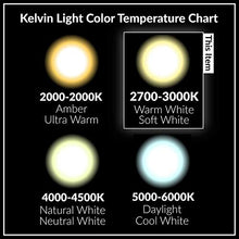 Carica l'immagine nel visualizzatore di Gallery, Vicloon G4 Lampadine Alogene, Luce, 20W 12V Bianco Caldo 20w