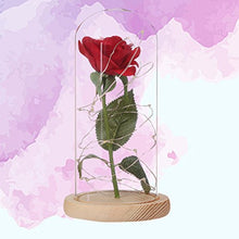 Carica l'immagine nel visualizzatore di Gallery, Ledmomo - Lampada con rosa in seta e luce a LED, cupola di vetro e base... - Ilgrandebazar