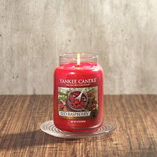 Carica l'immagine nel visualizzatore di Gallery, Yankee Candle candela profumata in giara grande, Lampone rosso, durata: Large - Ilgrandebazar
