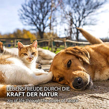 Carica l'immagine nel visualizzatore di Gallery, AniForte Omega-3 Capsule di Olio Salmone per Cani e Gatti 500 -...