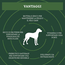 Carica l'immagine nel visualizzatore di Gallery, Marchio Amazon - Solimo Alimento secco completo per cani adulti ricco di 5 kg