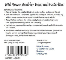 Carica l'immagine nel visualizzatore di Gallery, Twin Pack di Britten and James Wildflower per api e farfalle della RHS... - Ilgrandebazar