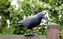 Carica l'immagine nel visualizzatore di Gallery, Brandsseller Set 3 Statuetta di Corvo 36 cm Neri 3 Pezzi Corvo Finto Spaventapasseri