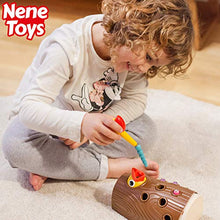 Carica l'immagine nel visualizzatore di Gallery, Nene Toys – Gioco Educativo per Bambini e Bambine di 2, 3 e 4 Anni – Picchio...