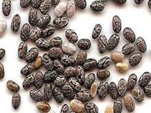 Carica l'immagine nel visualizzatore di Gallery, 1kg semi di Chia BIO 100% liberi da pesticidi