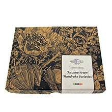 Carica l'immagine nel visualizzatore di Gallery, Magic Garden Seeds varietà di Mandragora - Set Regalo Semi con Mandragora... - Ilgrandebazar