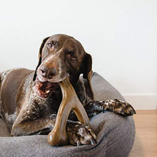 Carica l'immagine nel visualizzatore di Gallery, Benebone Real Bacon Durable Wishbone cane masticare giocattolo per Giant