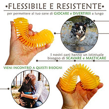 Carica l'immagine nel visualizzatore di Gallery, FarmTech Set Giochi per Cani Piccoli e Medium - 3 Ossi in Gomma Resistente... - Ilgrandebazar