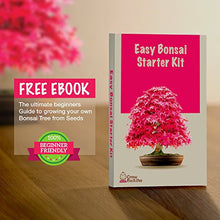 Carica l'immagine nel visualizzatore di Gallery, Coltivare il proprio kit bonsai - Facilmente crescere 4 tipi di alberi...