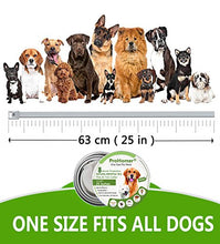 Carica l'immagine nel visualizzatore di Gallery, PROZADA [2 PCS] Collare Antipulci Cane, Antiparassitario per Cani Tutti... - Ilgrandebazar