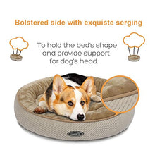 Carica l'immagine nel visualizzatore di Gallery, Pecute Cuccia per Gatti e Cani, Realizzato in Fondo Antiscivolo di pet bed M - Ilgrandebazar