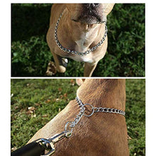 Carica l'immagine nel visualizzatore di Gallery, Louvra Collare per Cani Catena in Metallo Ferro Serpente Cane M