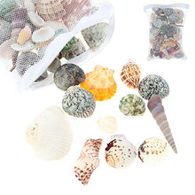Carica l'immagine nel visualizzatore di Gallery, Upain - Sacchetti filtranti per acquario, 20 pezzi, in rete bianca, con...