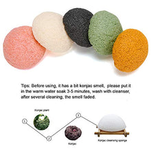 Carica l'immagine nel visualizzatore di Gallery, Konjac Spugna, 5 Pezzi Miss Gorgeous Spugna Viso e Corpo con Tè Verde, 100%... - Ilgrandebazar