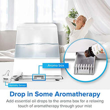 Carica l'immagine nel visualizzatore di Gallery, Levoit Umidificatore Ambiente Casa Ultrasuoni 5,5L, Aromaterapia con Nebbia... - Ilgrandebazar