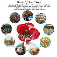 Carica l'immagine nel visualizzatore di Gallery, FUNINGEEK 24k Rosa Placcato Oro con Scatola Regalo e Supporto, Rosso