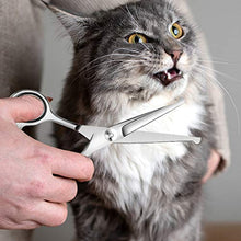 Carica l'immagine nel visualizzatore di Gallery, WOMGF Forbici Toelettatura per Cani Gatti Professionali Set per...
