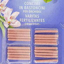 Carica l'immagine nel visualizzatore di Gallery, 3