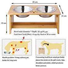 Carica l'immagine nel visualizzatore di Gallery, FOREYY Ciotole per Cani alzate e Gatti Medio - 18 cm di altezza - Ilgrandebazar