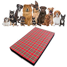 Carica l'immagine nel visualizzatore di Gallery, Baldiflex Materassino Cuccia Letto Cuscino Morbida per Cane Berny 115 x 70 cm - Ilgrandebazar