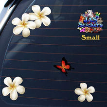 Carica l'immagine nel visualizzatore di Gallery, Fiore frangipani plumeria bianca doppio + farfalla adesivi auto autoadesivi... - Ilgrandebazar