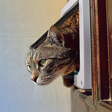 Carica l'immagine nel visualizzatore di Gallery, Fontic Gattaiola Porta Basculante per Gatti e Cani, Entrata e L, Bianco - Ilgrandebazar