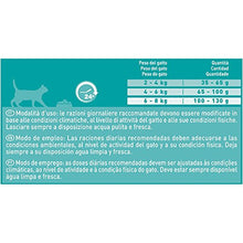 Carica l'immagine nel visualizzatore di Gallery, Purina One Bifensis Crocchette Gatto Urinary Care Ricco in Pollo e Frumento...