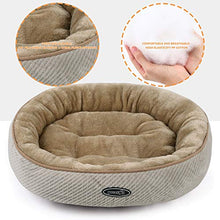 Carica l'immagine nel visualizzatore di Gallery, Pecute Cuccia per Gatti e Cani, Realizzato in Fondo Antiscivolo di pet bed M - Ilgrandebazar