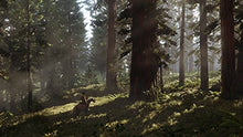 Carica l'immagine nel visualizzatore di Gallery, Red Dead Redemption 2 - PlayStation 4