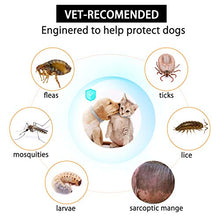 Carica l'immagine nel visualizzatore di Gallery, NINGBO CHANSON Collare Antipulci per Cane e Gatto, 60cm Collare... - Ilgrandebazar