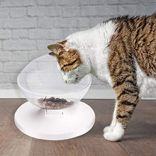 Carica l'immagine nel visualizzatore di Gallery, Ciotola per cibo gatti, rimovibile, trasparente, antiscivolo, in ardesia