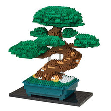 Carica l'immagine nel visualizzatore di Gallery, Nanoblock- NB039 Bonsai Matsu Giocattolo, Multicolore - Ilgrandebazar