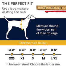 Carica l'immagine nel visualizzatore di Gallery, RUFFWEAR Front Range™ Harness L/XL, Blu (Blue Dusk)