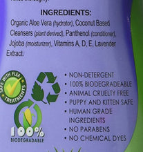 Carica l'immagine nel visualizzatore di Gallery, Espree Energee Plus 591 ml