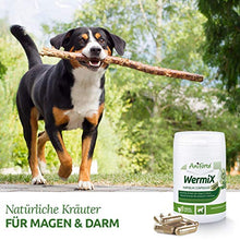 Carica l'immagine nel visualizzatore di Gallery, AniForte WermiX per Cani 50 Capsule - Prodotto Naturale Prima, Durante e...