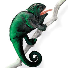 Carica l'immagine nel visualizzatore di Gallery, Folkmanis Puppets 2215 - Pupazzo Camaleonte - Ilgrandebazar