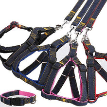 Carica l'immagine nel visualizzatore di Gallery, Set guinzaglio per Cani Collare in Denim Gatto di Small, Nero - Ilgrandebazar