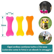 Carica l'immagine nel visualizzatore di Gallery, FarmTech Set Giochi per Cani Piccoli e Medium - 3 Ossi in Gomma Resistente... - Ilgrandebazar