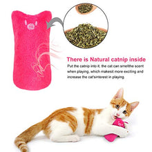 Carica l'immagine nel visualizzatore di Gallery, SEGMINISMART Catnip Giocattoli per Gatti, Gatti Giocattoli, Interattivi...