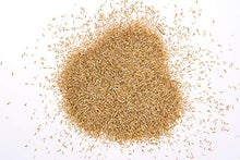 Carica l'immagine nel visualizzatore di Gallery, Wolf Garten LR 25 3826020 Prato per risemina per 25 mq