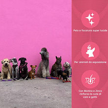 Carica l'immagine nel visualizzatore di Gallery, SUPP4PETS BIOTIN Zn Complex per Il Pelo e la Cute di Cani e Gatti 60 CPR da...